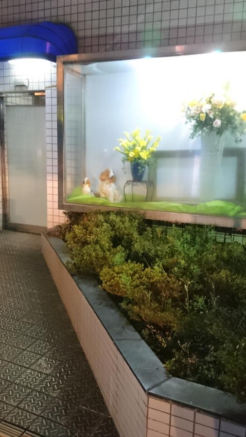 Hotel Loire (Adults Only) Ōsaka Exterior foto